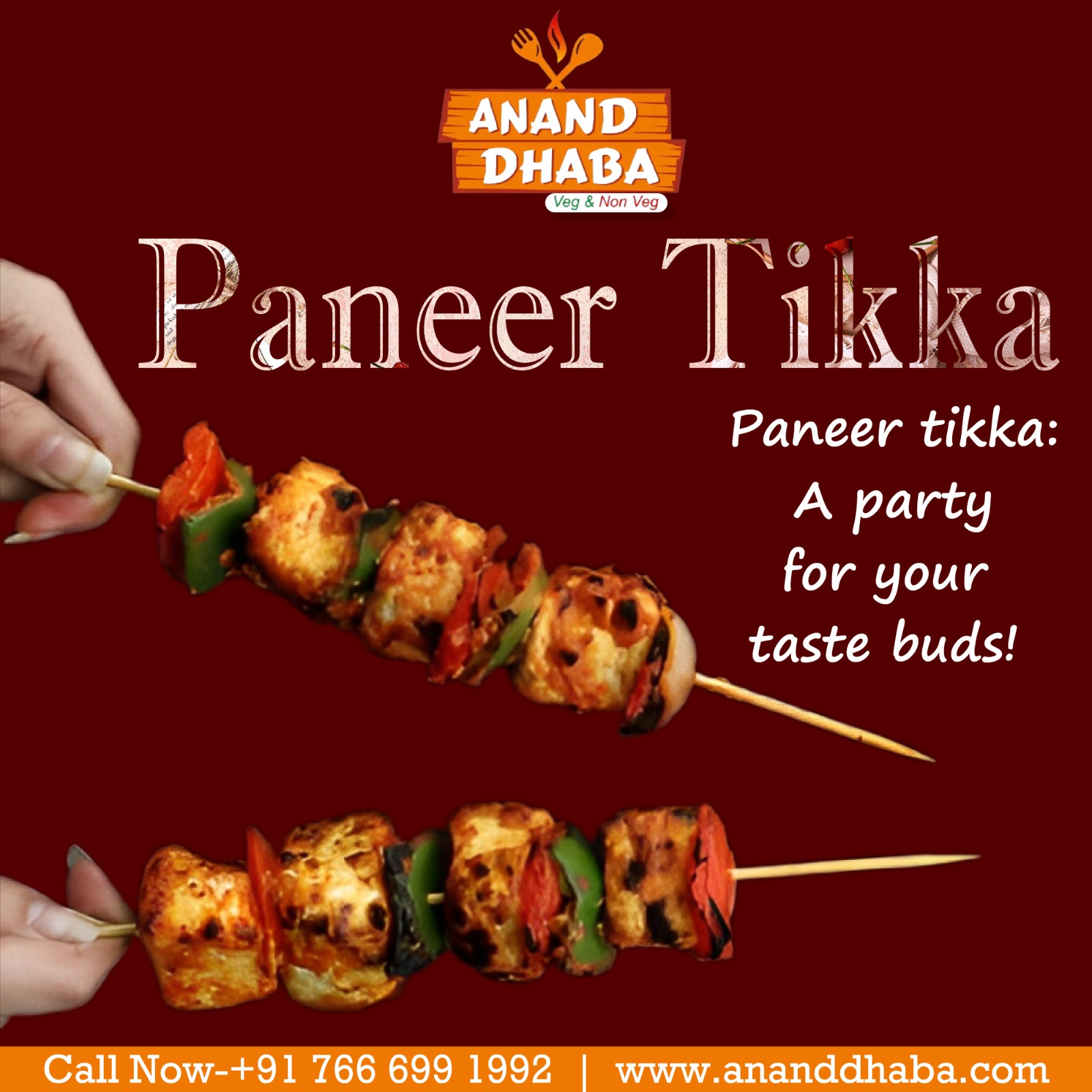 Savor the Flavor with Our Paneer Tikka!