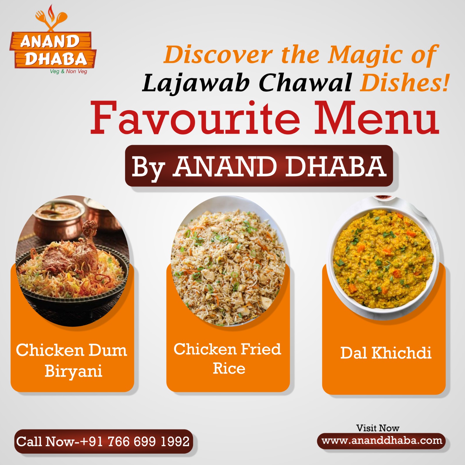 Lajawab Chawal Dishes at Anand Dhaba